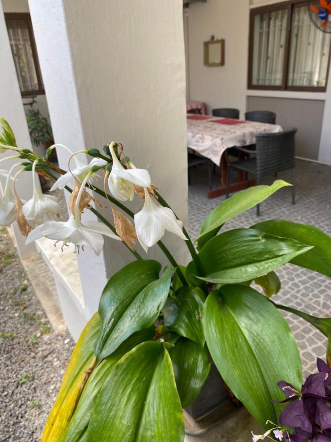 Gardenia Apartments Pereybere Beach Exterior photo